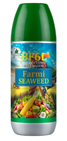 Farmi Seaweed